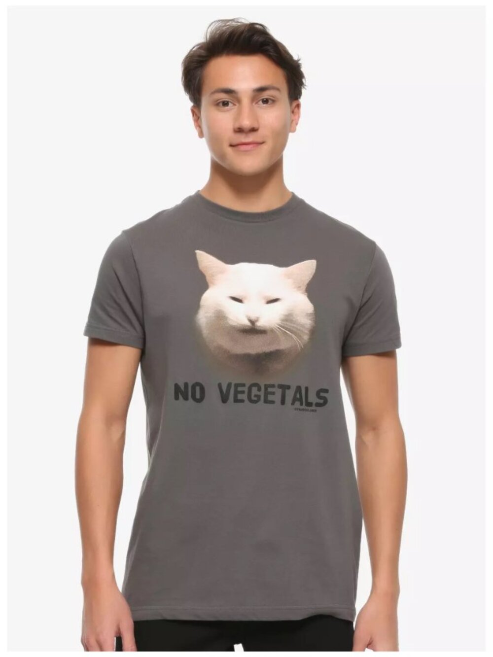 Smudge Lord Cat "No Vegetals" Graphic T-Shirt - Gray - Small - Men's / Unisex